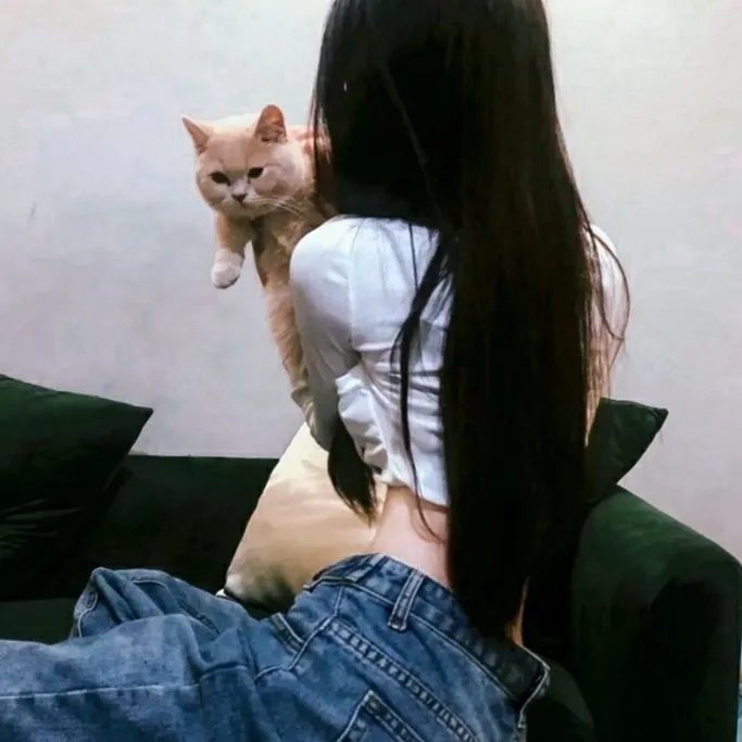 借钱专家