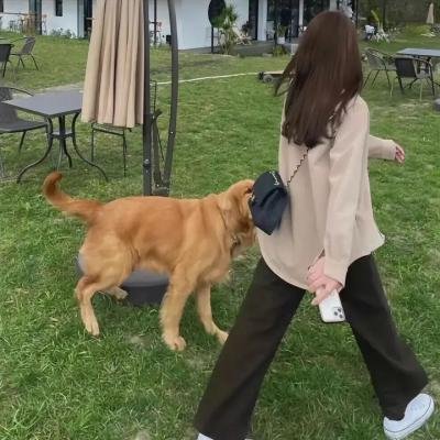 死亡夺命针